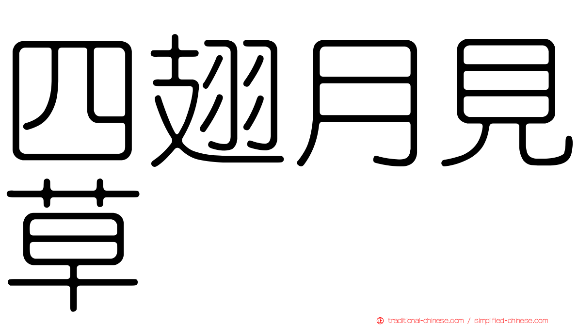 四翅月見草