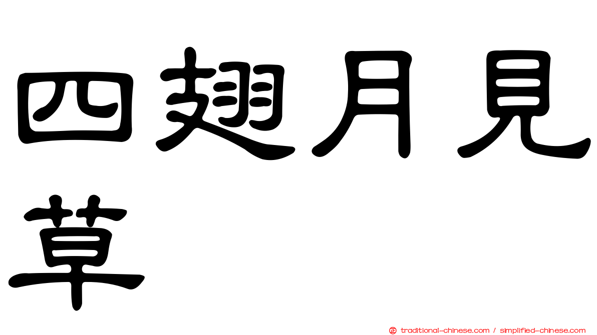 四翅月見草