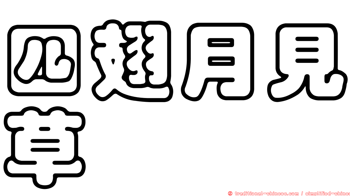四翅月見草