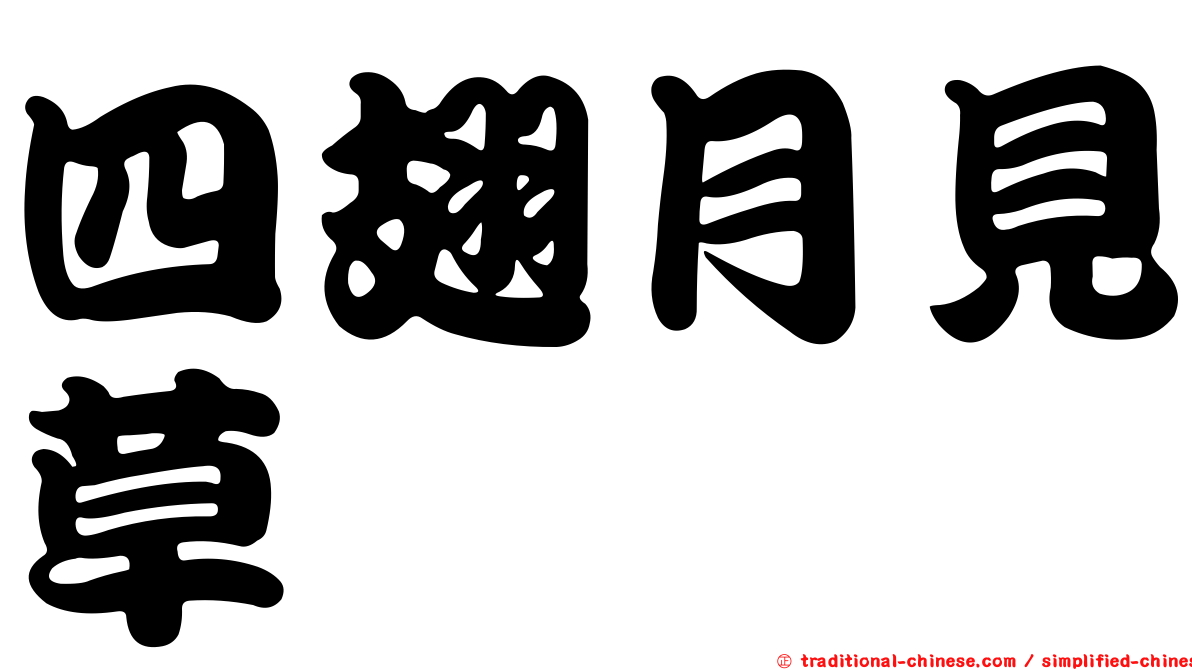 四翅月見草
