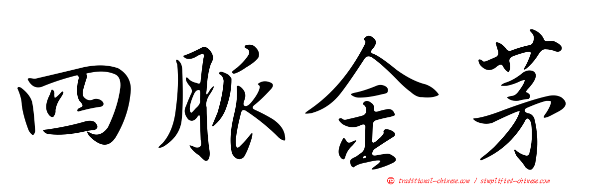 四脈金茅
