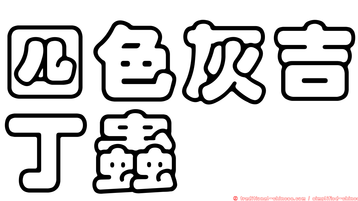 四色灰吉丁蟲