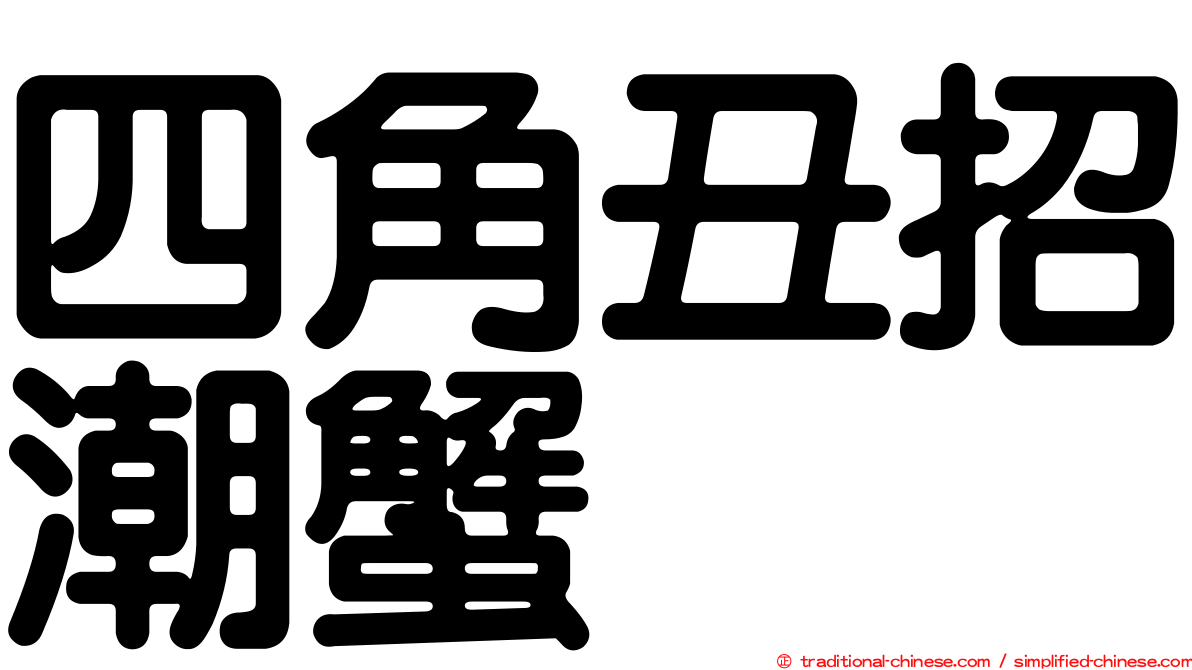 四角丑招潮蟹