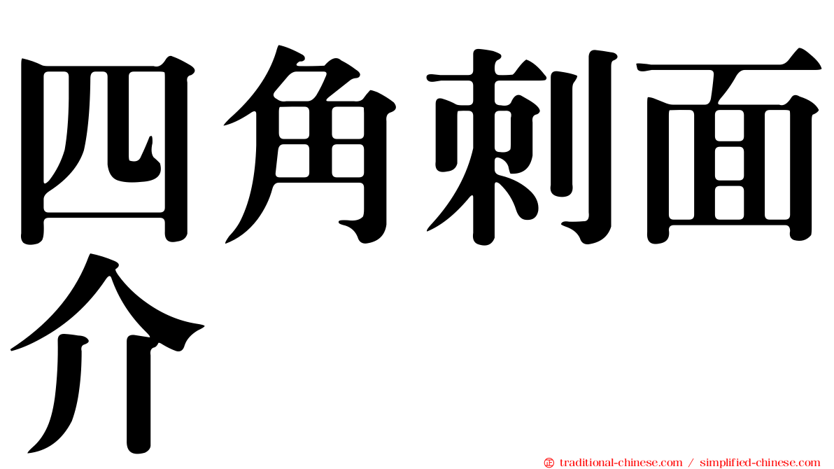 四角刺面介