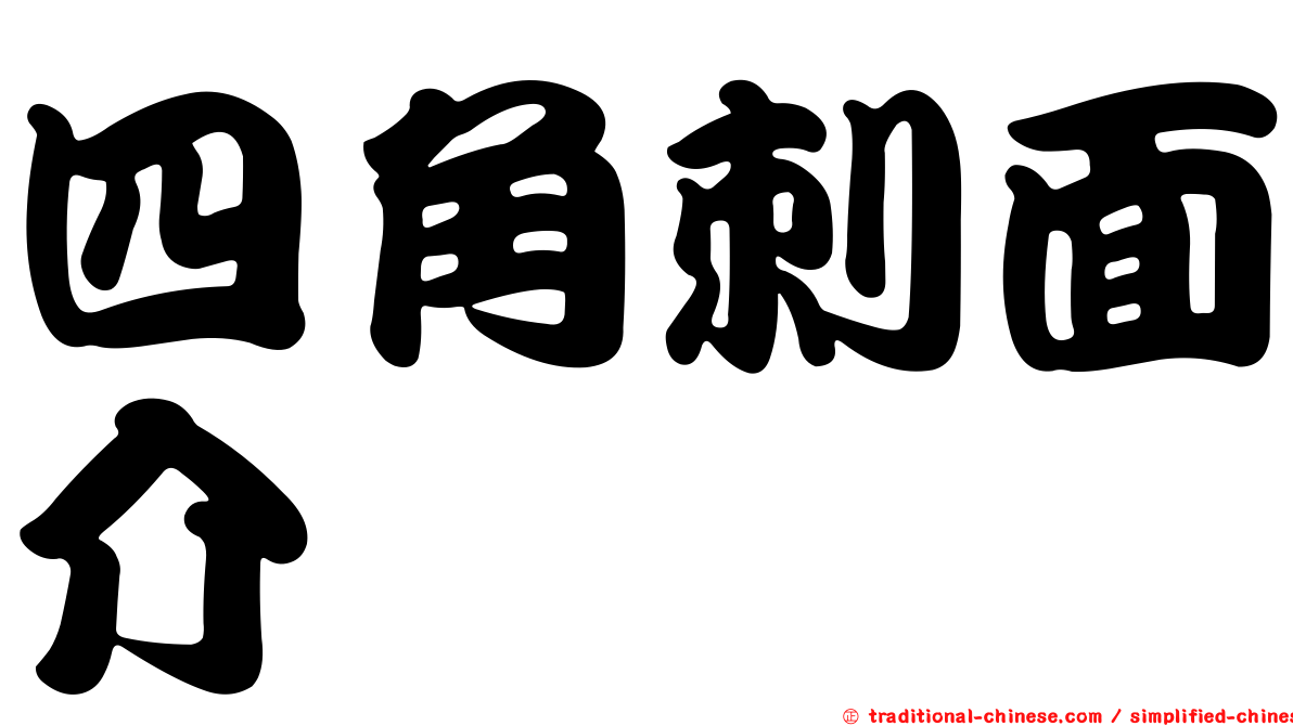 四角刺面介