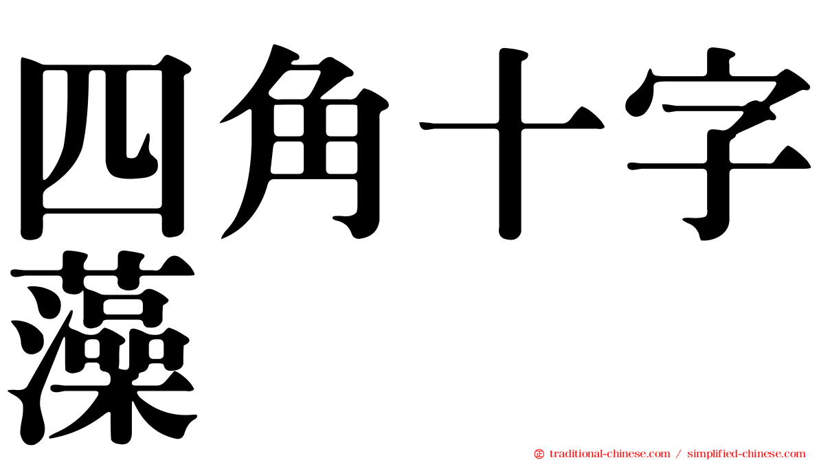 四角十字藻