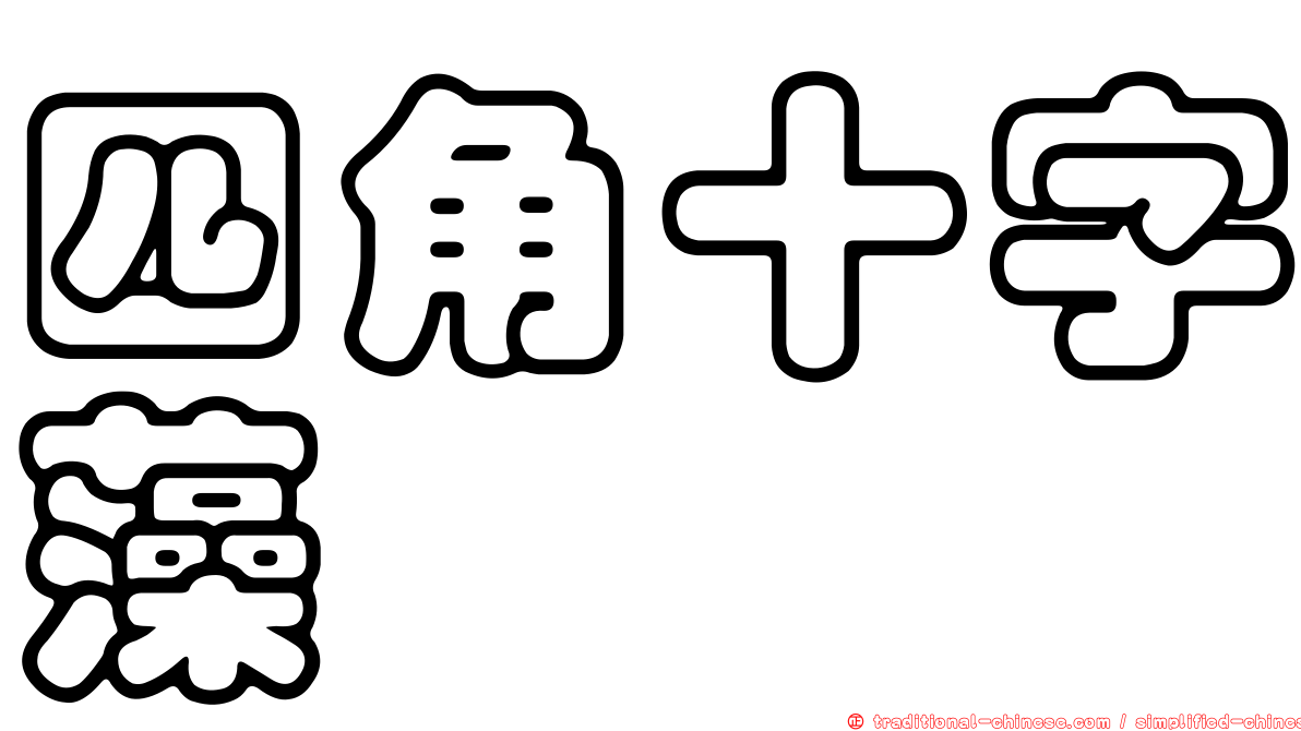 四角十字藻