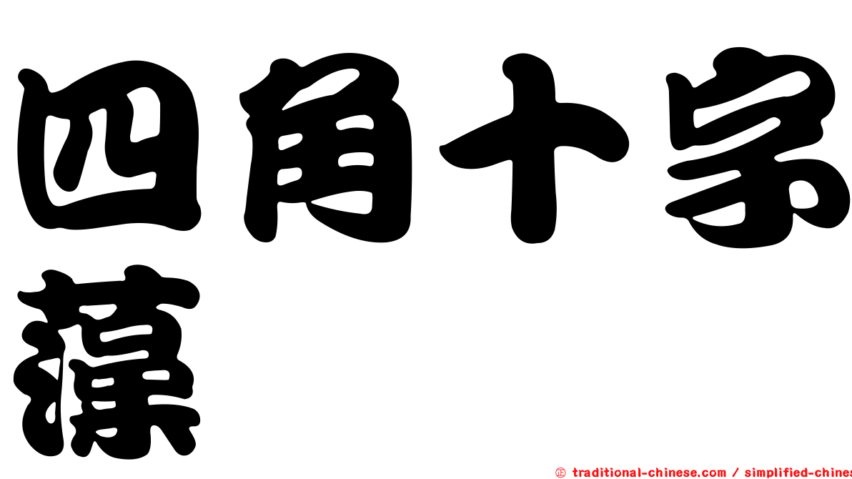四角十字藻