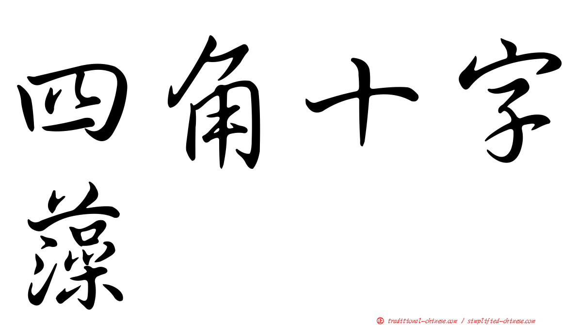 四角十字藻