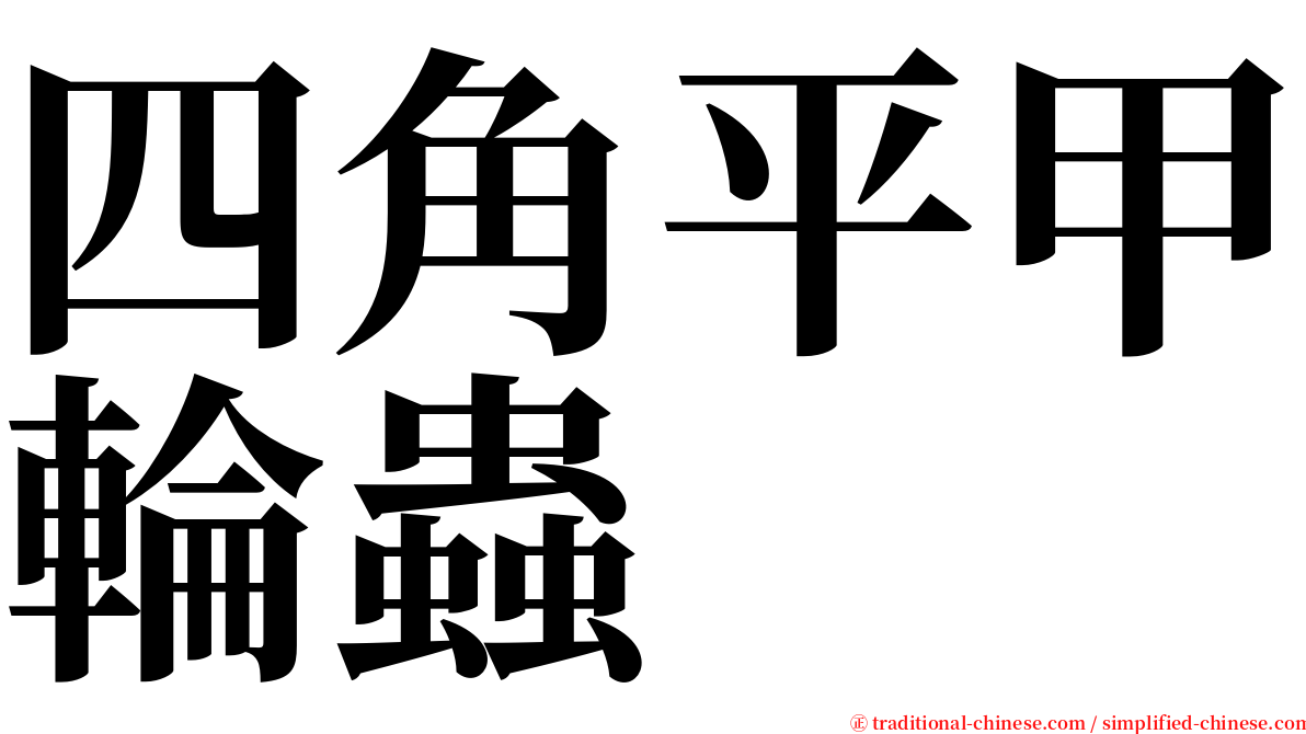 四角平甲輪蟲 serif font