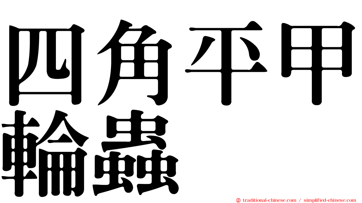 四角平甲輪蟲