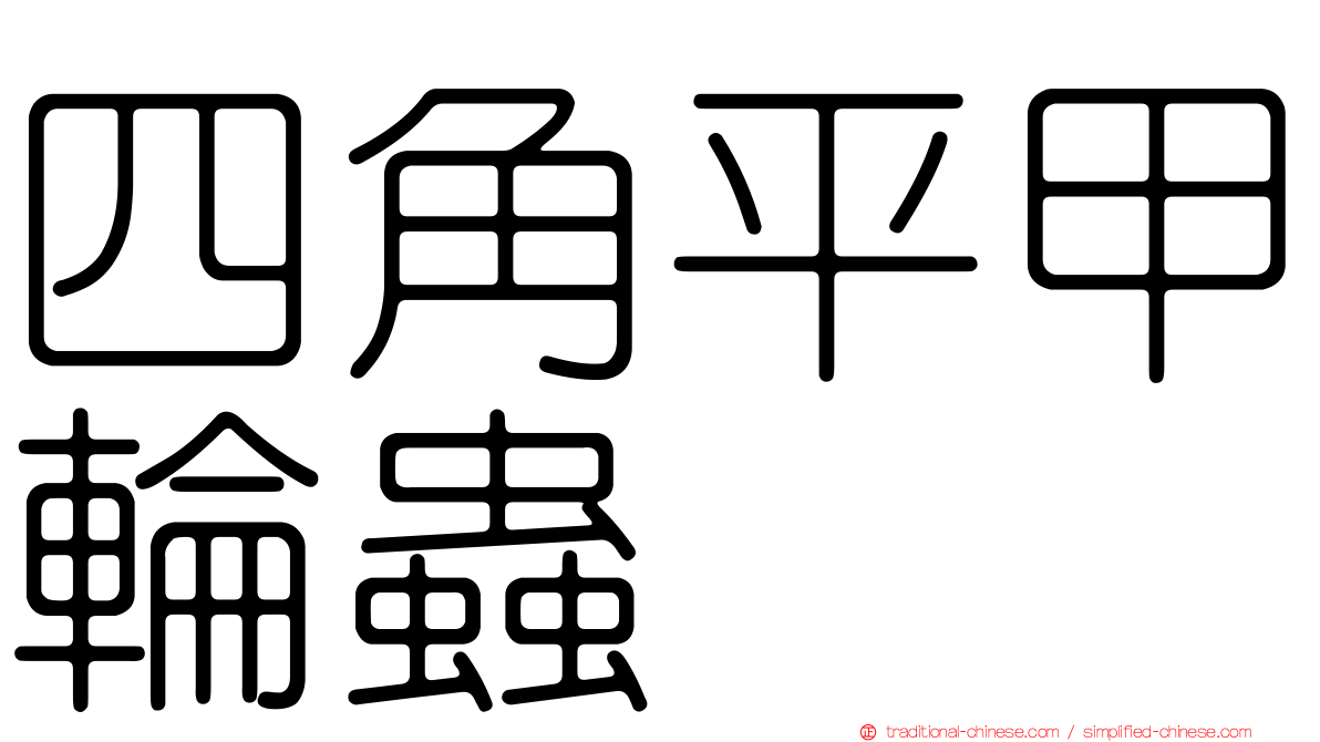 四角平甲輪蟲