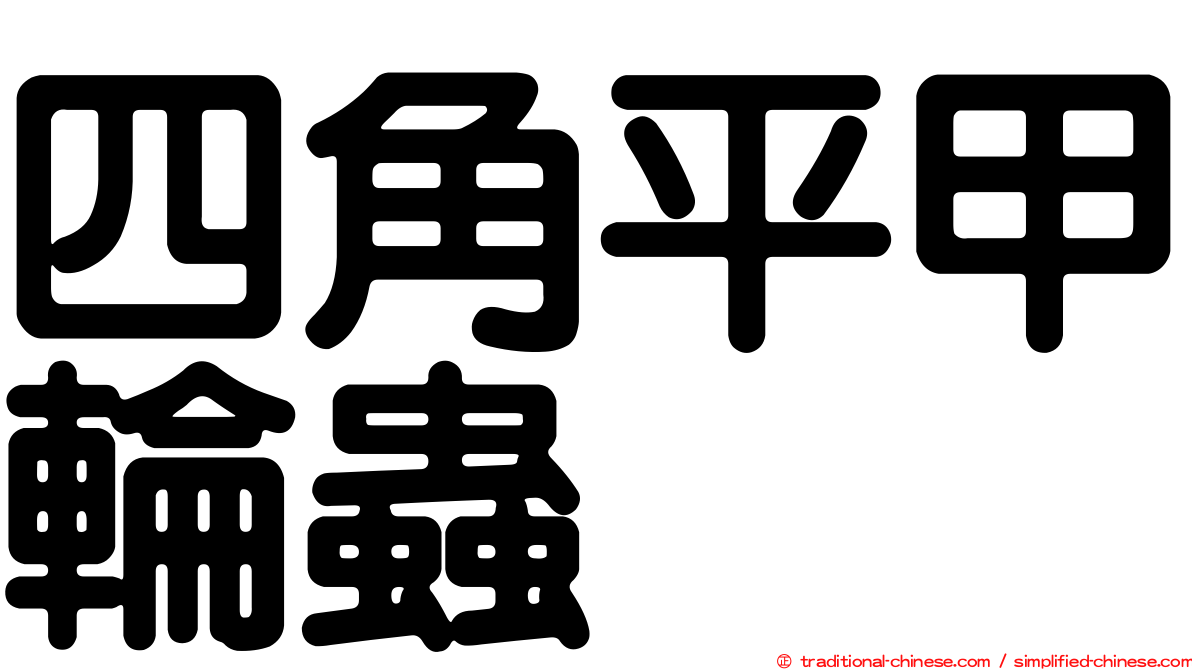 四角平甲輪蟲