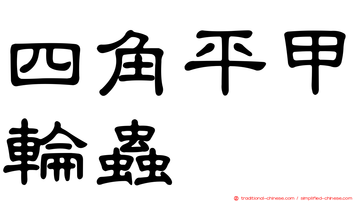 四角平甲輪蟲