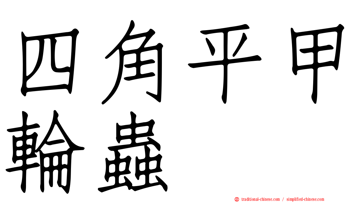 四角平甲輪蟲