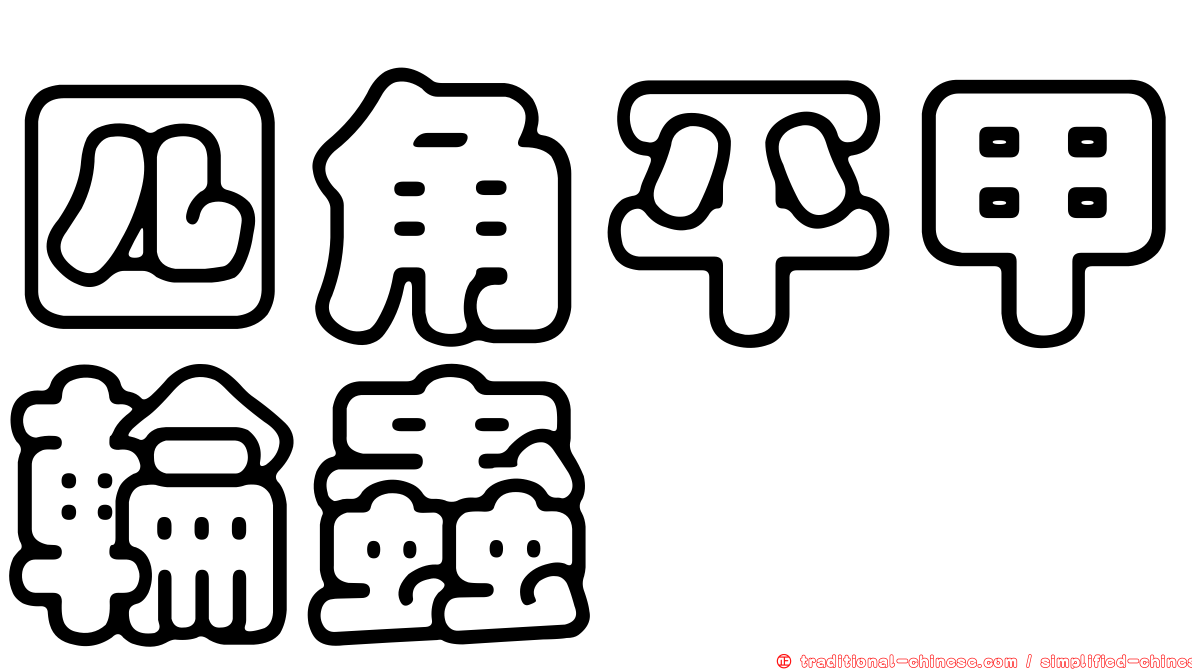 四角平甲輪蟲