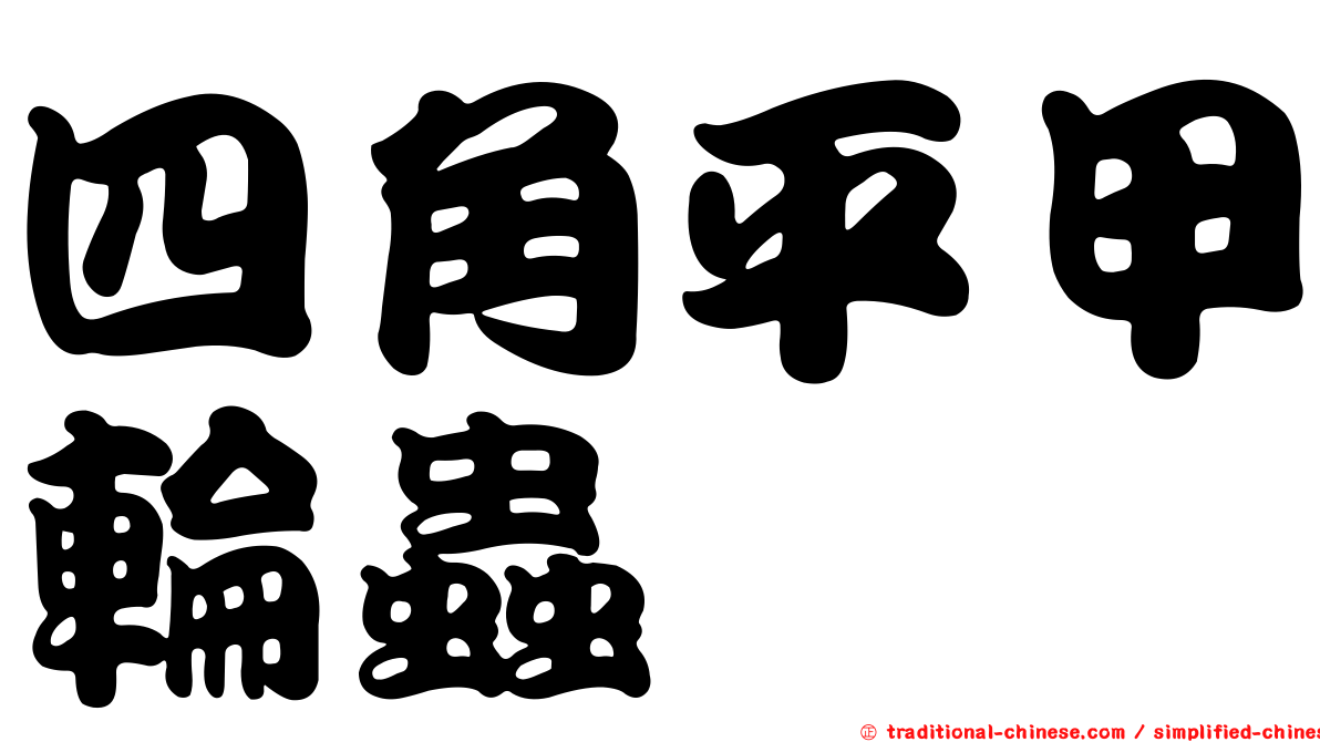 四角平甲輪蟲