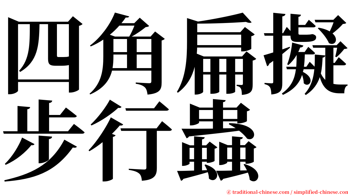 四角扁擬步行蟲 serif font
