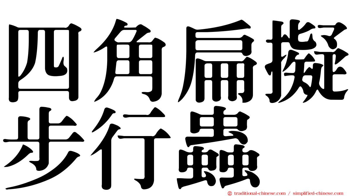 四角扁擬步行蟲