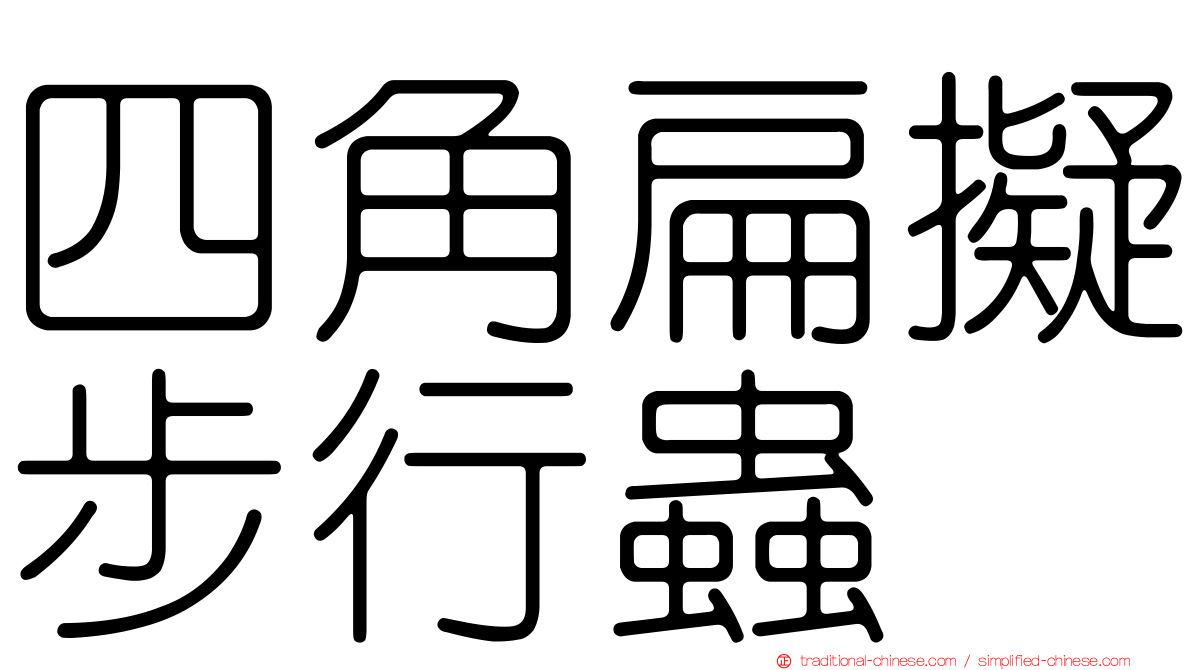 四角扁擬步行蟲
