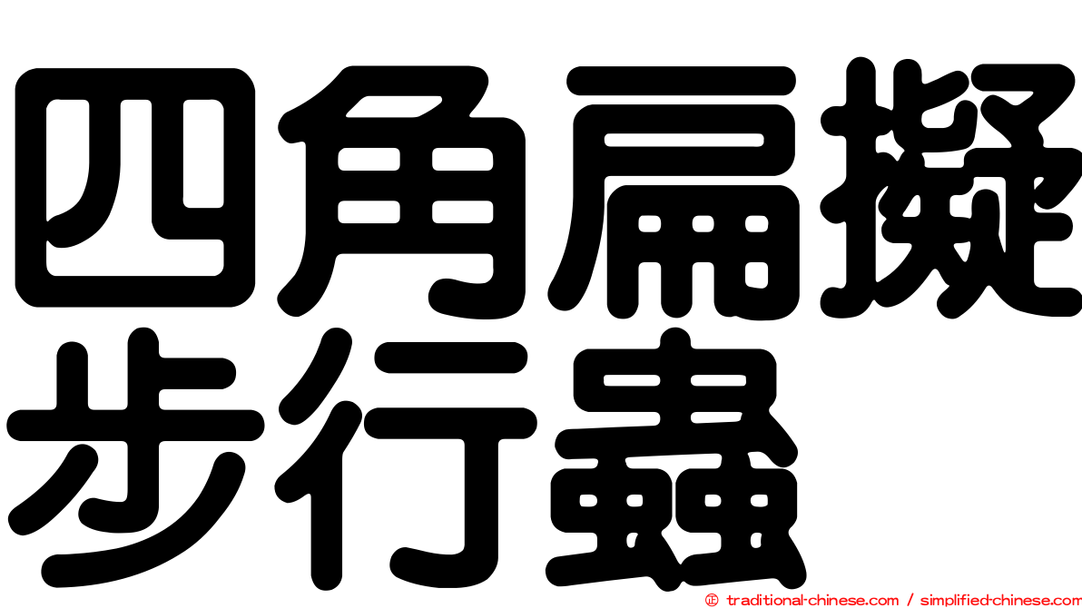 四角扁擬步行蟲