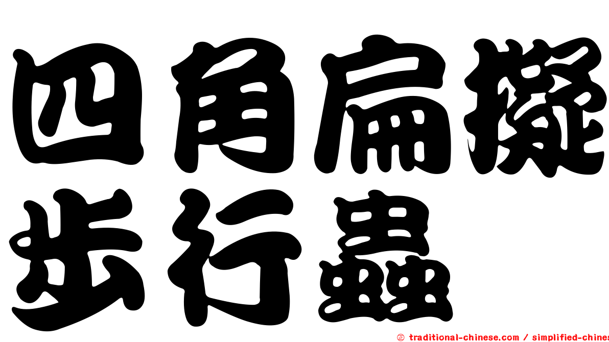 四角扁擬步行蟲