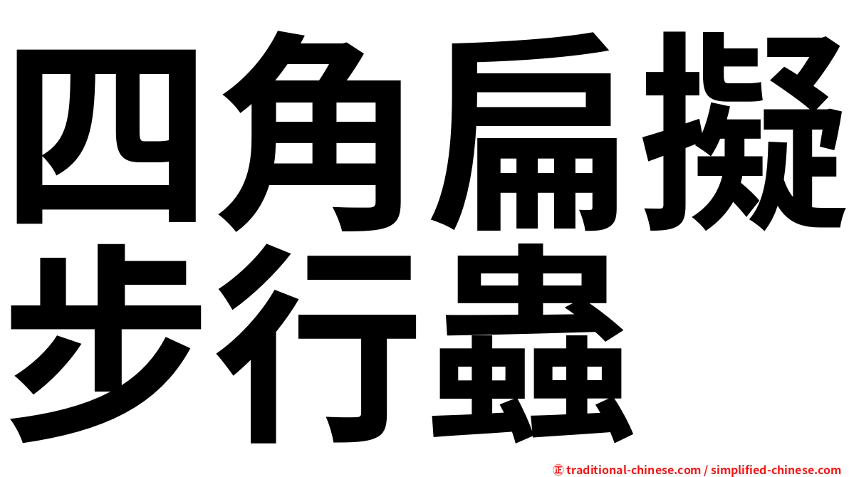 四角扁擬步行蟲