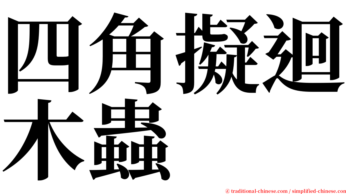 四角擬迴木蟲 serif font