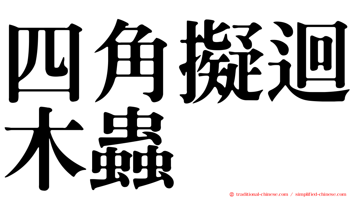 四角擬迴木蟲
