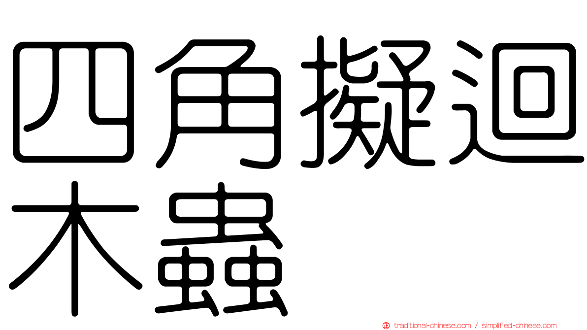 四角擬迴木蟲