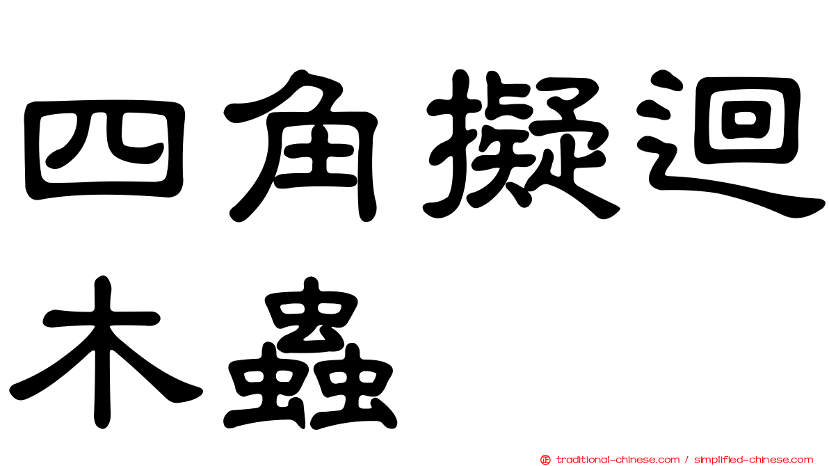 四角擬迴木蟲