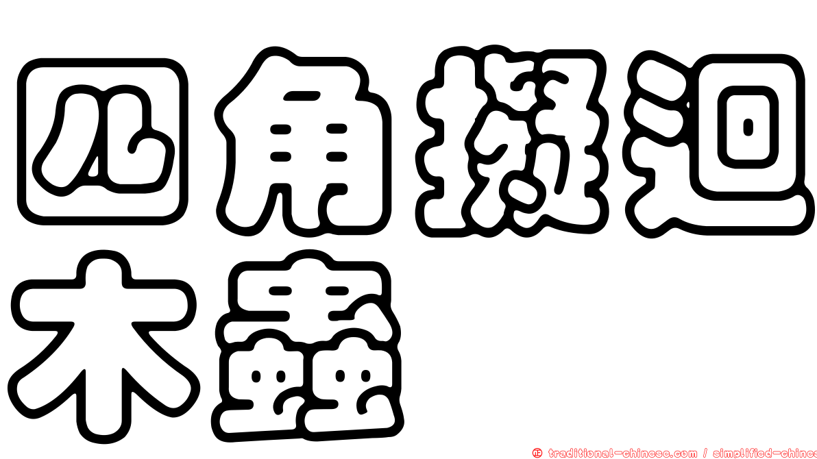 四角擬迴木蟲