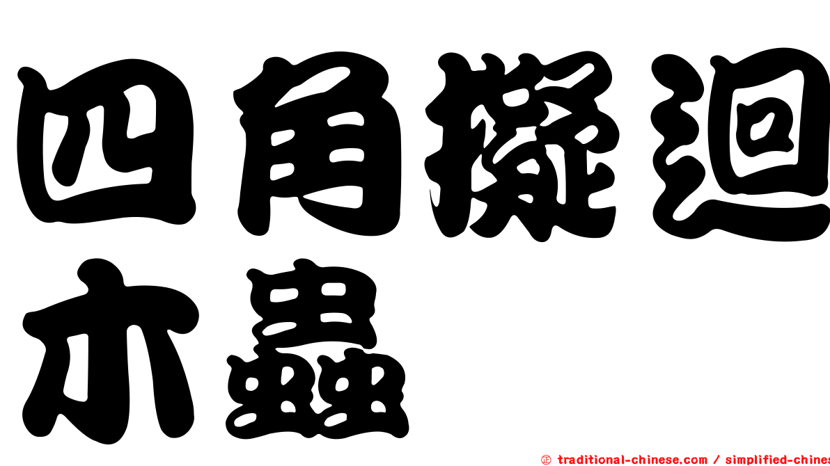 四角擬迴木蟲