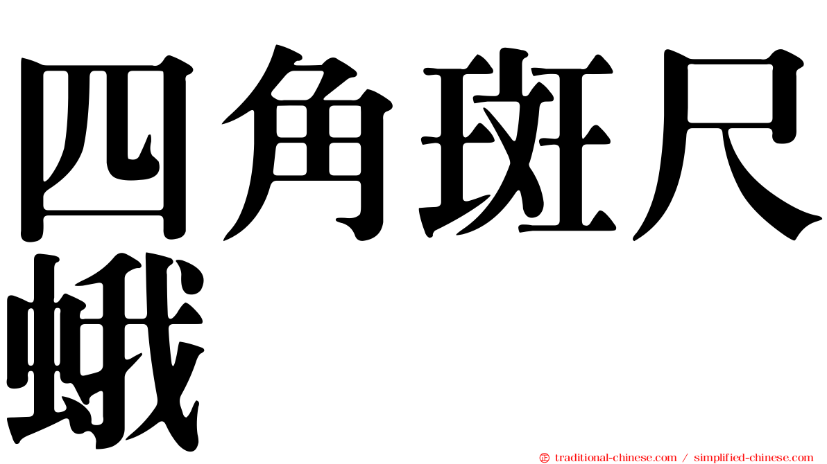 四角斑尺蛾
