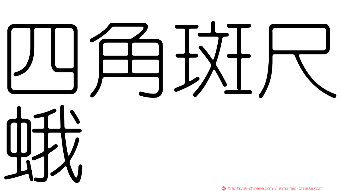 四角斑尺蛾