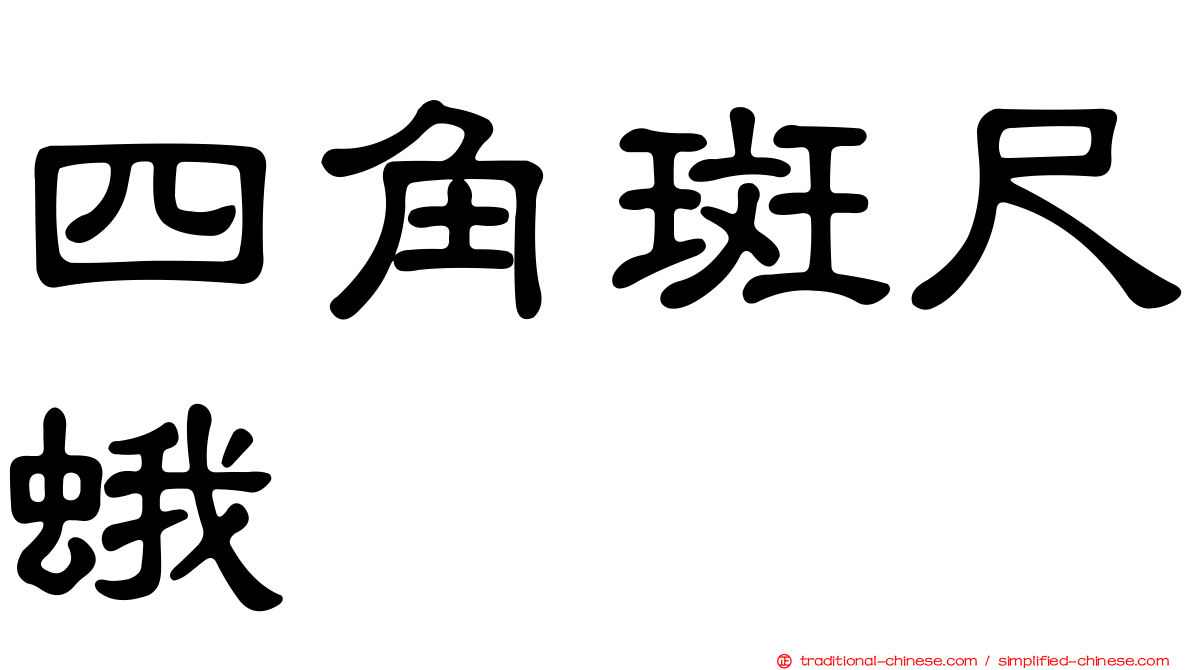 四角斑尺蛾