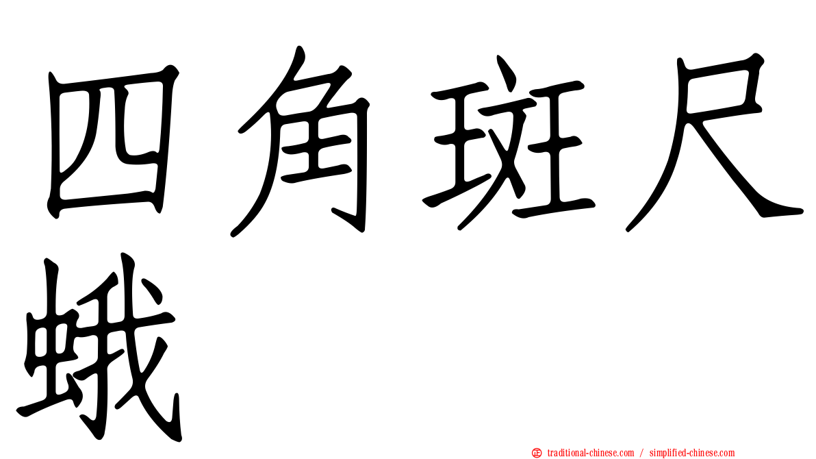 四角斑尺蛾