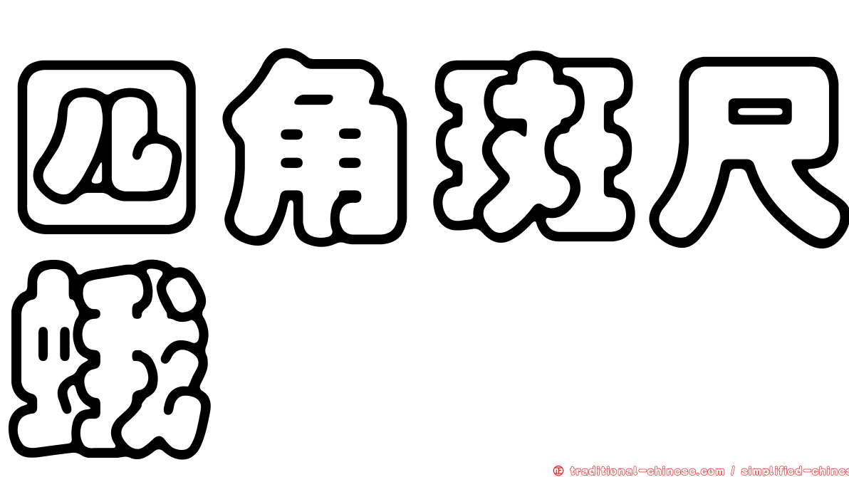 四角斑尺蛾