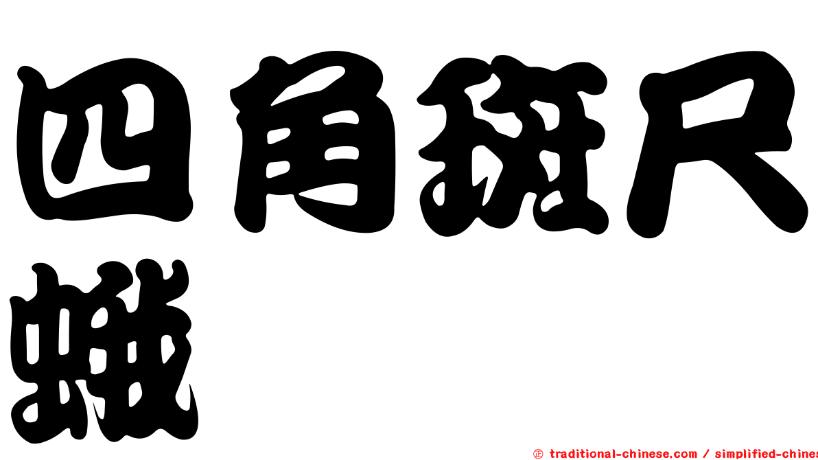 四角斑尺蛾