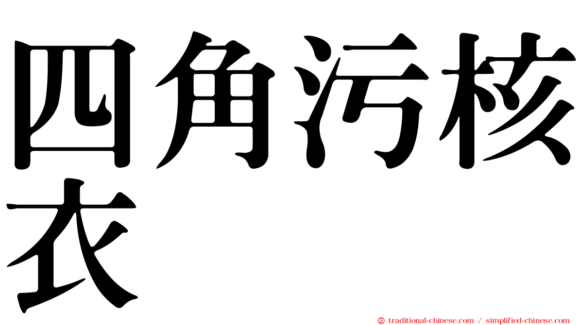 四角污核衣