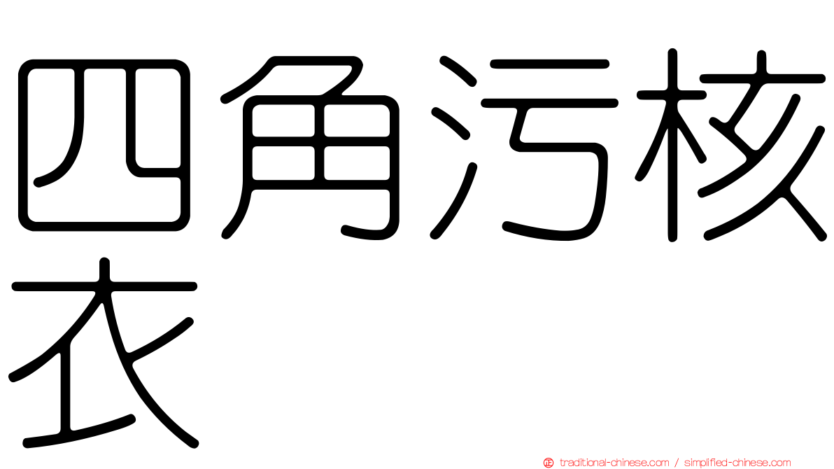 四角污核衣