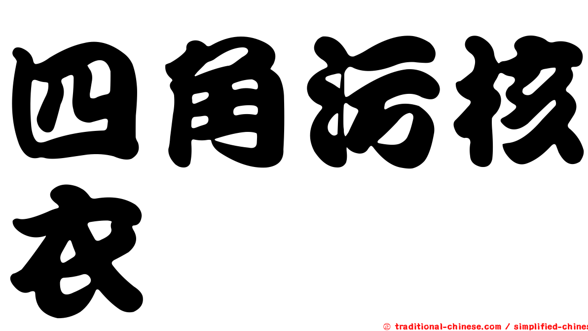 四角污核衣