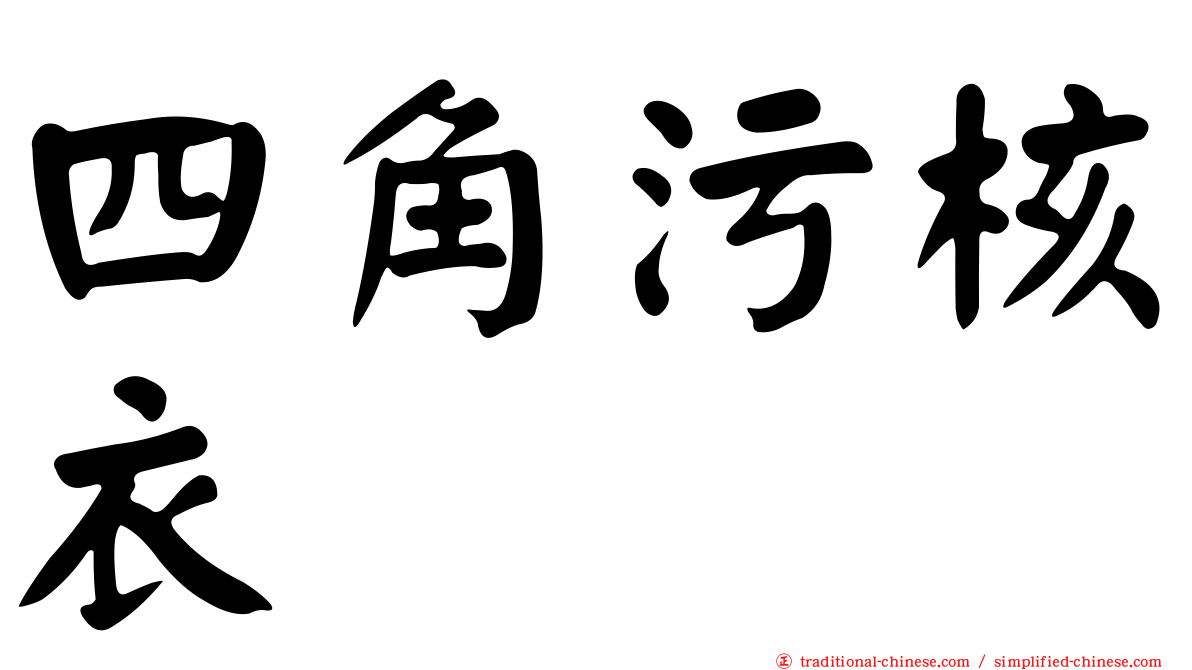 四角污核衣