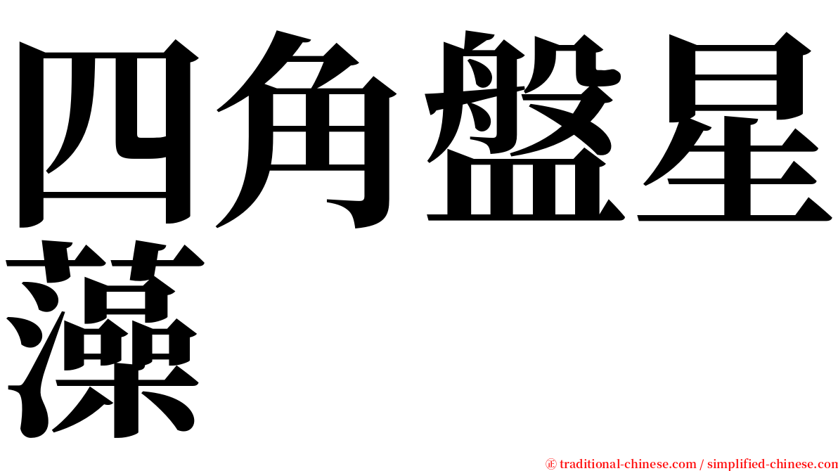 四角盤星藻 serif font