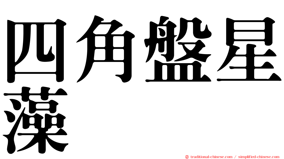 四角盤星藻