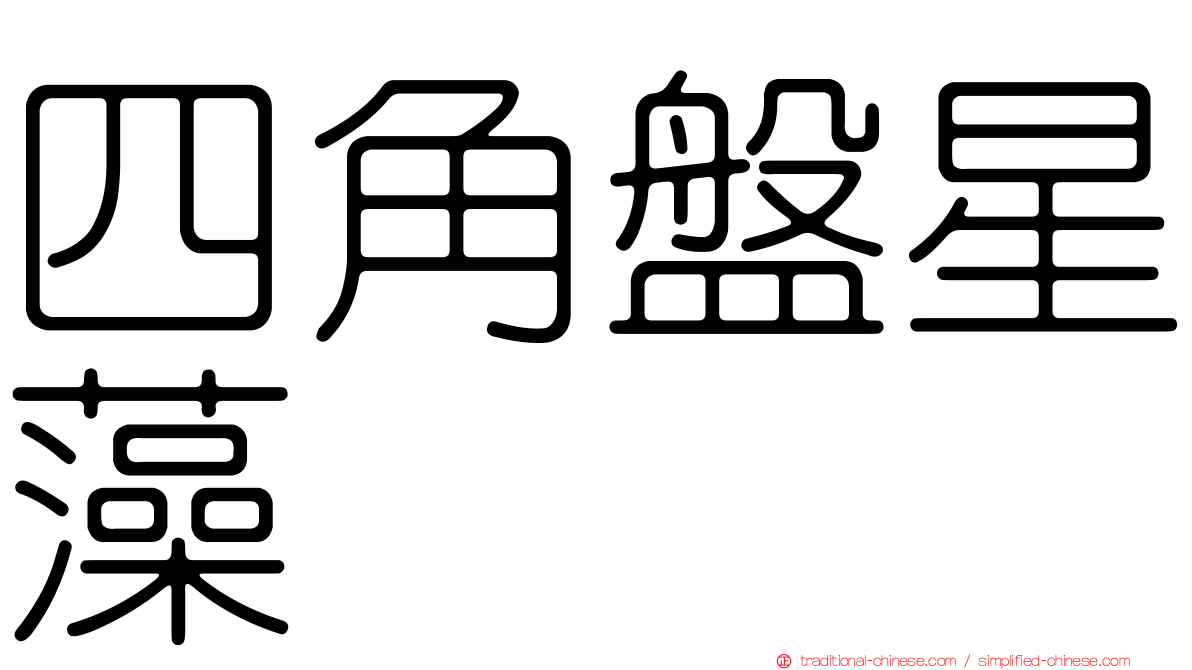 四角盤星藻