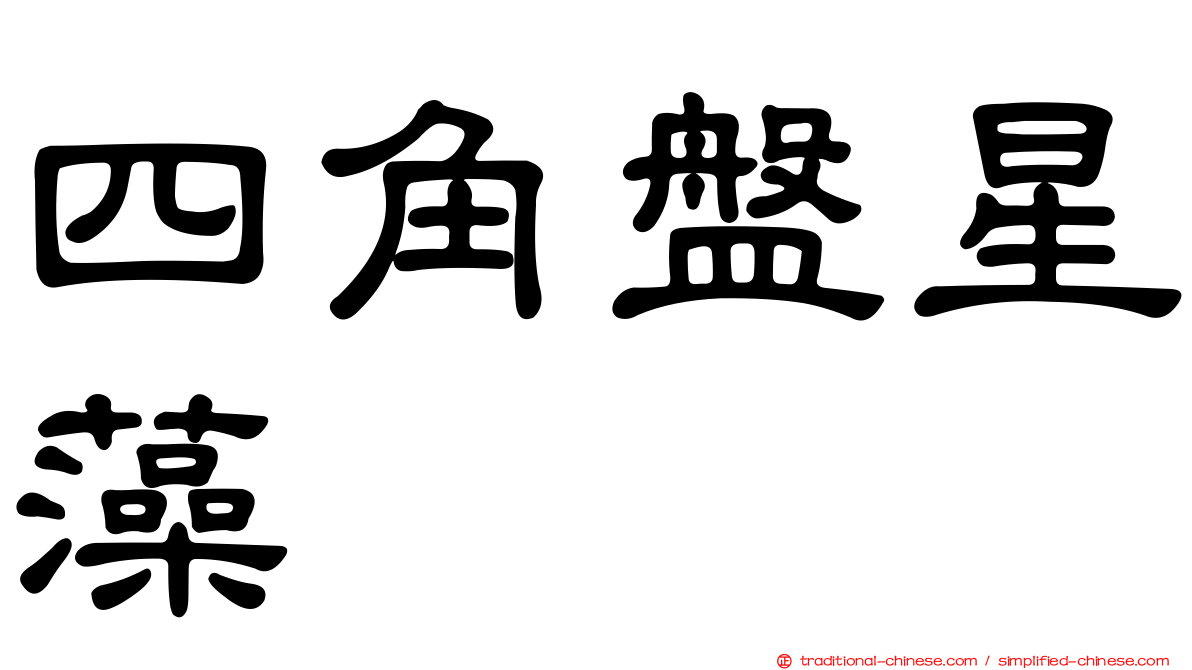 四角盤星藻