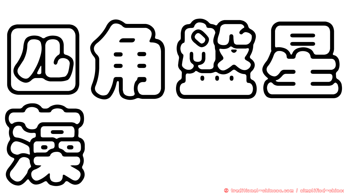 四角盤星藻