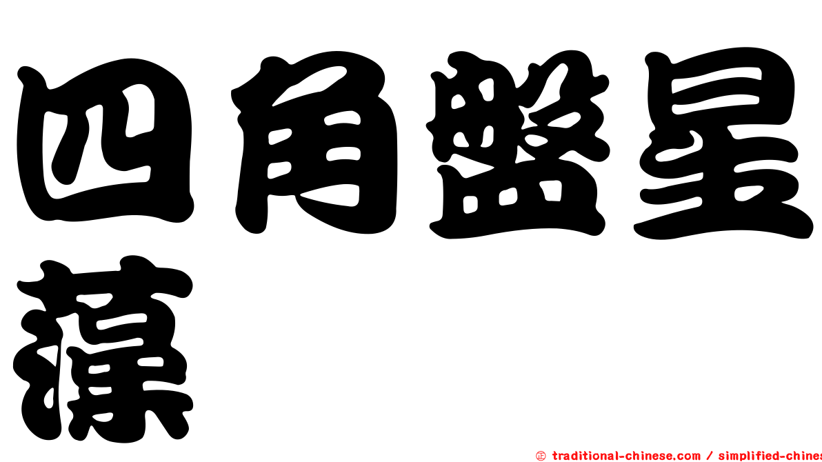 四角盤星藻