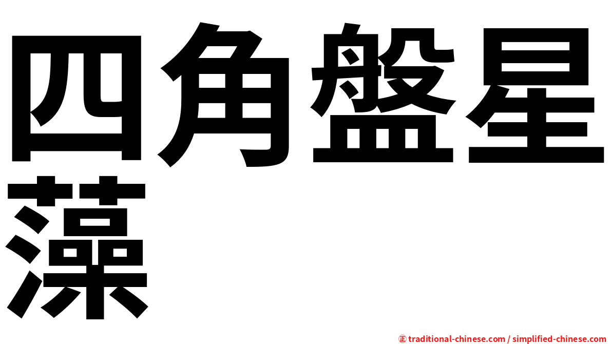 四角盤星藻
